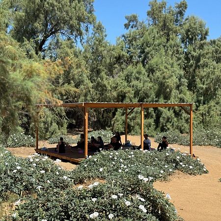Rancho Dominique Valle De Guadalupe Ngoại thất bức ảnh