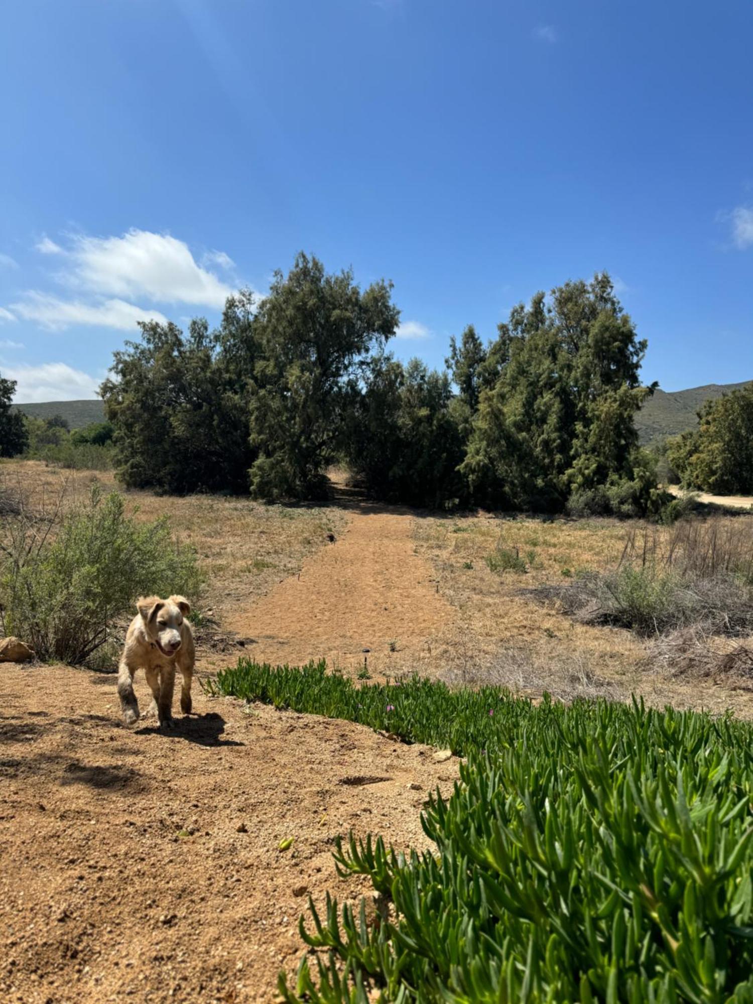 Rancho Dominique Valle De Guadalupe Ngoại thất bức ảnh