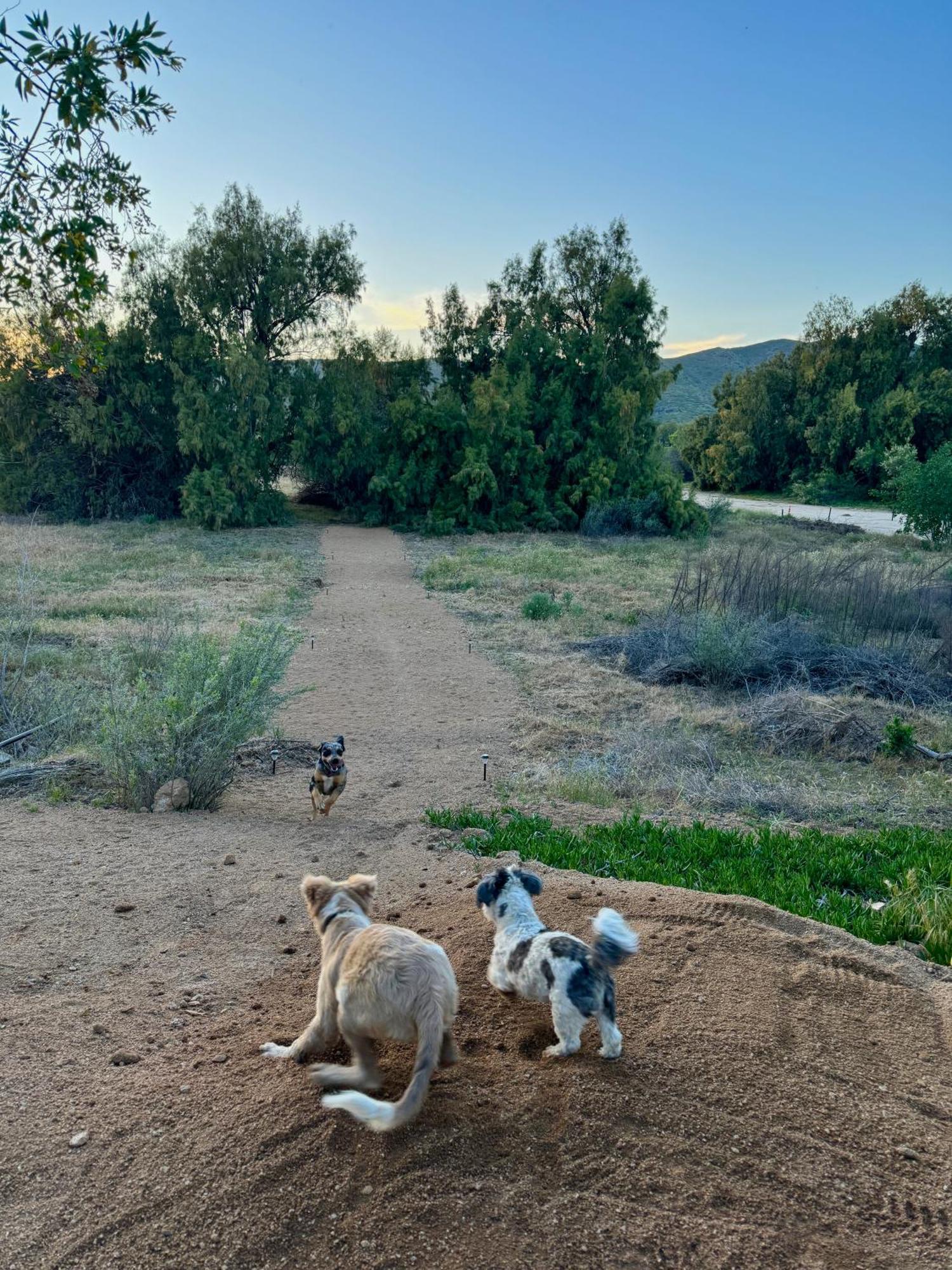 Rancho Dominique Valle De Guadalupe Ngoại thất bức ảnh