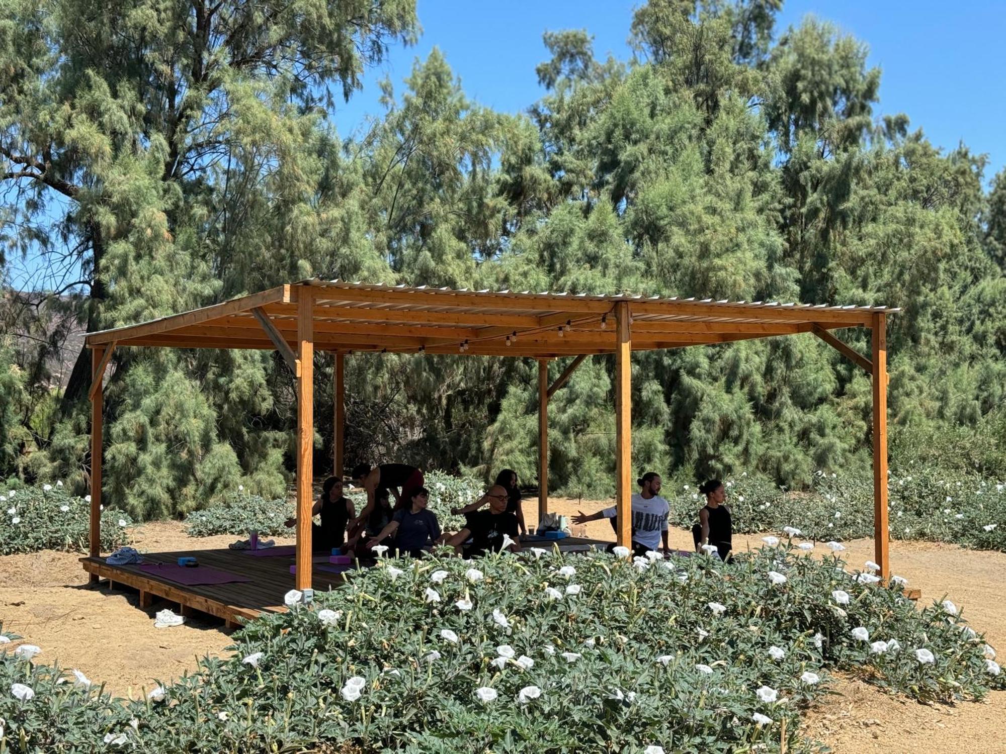 Rancho Dominique Valle De Guadalupe Ngoại thất bức ảnh
